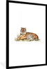 MuchoWow® MuchoWow® Gerahmtes Poster Tiger - Bild - Gras Produktbild-Vorschau 1