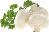 Westmark Pilz- und Gemüse-  Reinigungsbürste "Champy" Produktbild-Vorschau 2