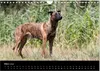 Holländischer Schäferhund (Wandkalender 2026 DIN A4 quer), Produktbild-Vorschau 6