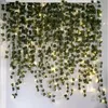 Gardlov 24538 Závěsný břečťan drobnolistý s osvětlením, Náhled obrázku produktu 5