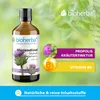 Bioherba Mariendistel Silybum marianum L. Tropfen Tinktur Produktbild-Vorschau 4