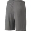 Puma Teamliga Shorts Kinder - Grau Produktbild-Vorschau 2