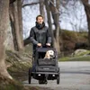 Hamax Pluto L – přívěs pro psy Náhled obrázku produktu 3