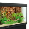 Rückwand Stone Clay 600x550mm Aquariumrückwand Produktbild-Vorschau 3