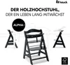 Hauck Hochstuhl Alpha Plus Black - im Sparset Produktbild-Vorschau 9