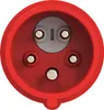 Elso CEE Phasenwender Stecker, 16A, 5p, 6h, IP44, 1 Stk. Produktbild-Vorschau 3