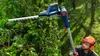 Akku-Teleskop-Heckenschere GHE 18V-50 TP Produktbild-Vorschau 4