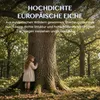 FLEXISPOT massief eikenhouten tafelblad, 140x80 cm, 18 mm Productafbeelding-voorbeeld 3