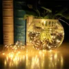 A glass bowl filled with water and a plant, illuminated by a string of copper LED lights. Books are visible in the background. Produktbild-Vorschau