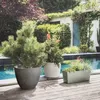 Poétic 022058 G.CA SX2 : bac à plantes Poétic ELEMENT, Voir les images du produit 3