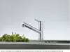 A stainless steel kitchen faucet with a pull-out spout is shown next to a pile of green fruits in a sink. Anteprima dell’immagine prodotto