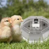 Kruger Meier ProLexor 60 - inkubator z termostatem na 60 Podgląd zdjęcia produktu 8