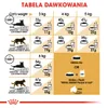 Royal Canin Persian 4 kg Produktbild-Vorschau 5