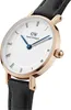 Daniel Wellington Drobné římské číslice Sheffield růžové Náhled obrázku produktu 2