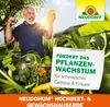 Fördert Pflanzenwachstum für aromatisches Gemüse, Kräuter Produktbild-Vorschau