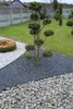Bordure de pelouse flexible 55 mm, bordure de parterre, Voir les images du produit 7