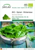 SAFLAX - BIO - Spinat - Winterriese - Spinacia oleracea - Produktbild-Vorschau 1