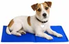 lionto Kühlmatte, angenehme Abkühlung für Hunde & Katzen, Produktbild-Vorschau 1