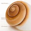 Ryssota otaheitana ab 7,5 cm Schneckenhaus Lamarkiana Produktbild-Vorschau 4