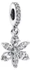 Pandora Dangle Charm 792382C01 Třpytivý herbářový shluk ze Náhled obrázku produktu 6