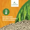 LERAVA LETNÉ hnojivo na trávnik – hnojivo proti stresu s Náhľad obrázku produktu 2