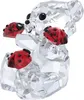 A clear, professional studio shot of a crystal bear figurine with three ladybugs. Voir les images du produit