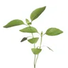 Buzzy Microgreens Zitronenbasilikum Samen - Ca. 1 gr | Produktbild-Vorschau 3
