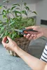 Gardena FreshCut Astschere Bypass Schwarz - Grün (12212-20) Produktbild-Vorschau 17
