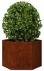 vidaXL Sadzarka Rusty 60x60x45 cm ze stali cortenowskiej Podgląd zdjęcia produktu 3