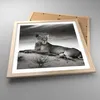 Gerahmtes Poster - Rahmen in heller Eiche - Tierwelt Produktbild-Vorschau 3