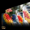 Hisense C3 | Smart Mini Projektor 4K Produktbild-Vorschau 15
