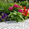 Weißer Gartenkies als Beetabdeckung unter bunten Blumen im Außenbereich Produktbild-Vorschau