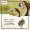 Supravit Getrocknete Garnelen für Hühner & Geflügel 1kg | Produktbild-Vorschau 3