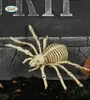 Scheletro di ragno Osso di ragno Decorazione horror di Anteprima dell’immagine prodotto 1