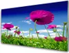 Acrylglasbilder 100x50 Wandbild Druck Wiese Blumen Natur Produktbild-Vorschau 1