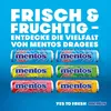 Mentos Mini Fruit Mix Frucht Kaubonbons 120 Stück Produktbild-Vorschau 10