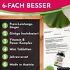 Compresse di Ginkgo Biloba da 6000 mg, 365 pezzi - Miglior Anteprima dell’immagine prodotto 3