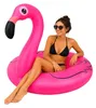 Flamingo aufblasbarer Schwimmring 102 cm – Strapazierfähige Produktbild-Vorschau 1