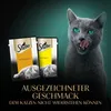 Sheba Fresh & Fine Saszetki 24x50g Mokra Karma Dla Kotów W Podgląd zdjęcia produktu 10