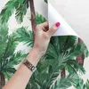 Coloray Fototapete 250x104 cm Vlies-Fototapete - Palmen Produktbild-Vorschau 3