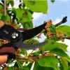 siwitec Bypass-Gartenschere SG-11 für frisches, weiches Produktbild-Vorschau 2