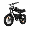 PIXAR SuperV-30AH Elektrofahrrad 48V 30Ah Lithium-Akku bis Produktbild-Vorschau 1