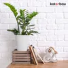 A white ceramic pot with a green plant sits on a wooden surface in front of a white brick wall. Decorative items are also present. Podgląd zdjęcia produktu