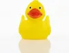 Ente gelb-orange - unifarbene Enten - Quietscheente - Produktbild-Vorschau 2