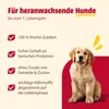 animonda GranCarno Junior Rind + Huhn, 6 x 800 g, Produktbild-Vorschau 3