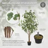 ML-Design Künstliche Eukalyptus 150 cm, Kunstpflanze mit Produktbild-Vorschau 4