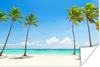 MuchoWow® Poster Palme - Strand - Schatten - Sommer 60x40 Produktbild-Vorschau 1