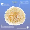 Creative Deco Holzwolle | 1200 g Holzspäne | Füllmaterial Produktbild-Vorschau 3