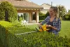 A woman is trimming a hedge with an electric hedge trimmer in a garden. Produktbild-Vorschau