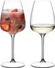 Two wine glasses, one filled with a pink beverage with fruit and ice, the other with white wine. Produktbild-Vorschau